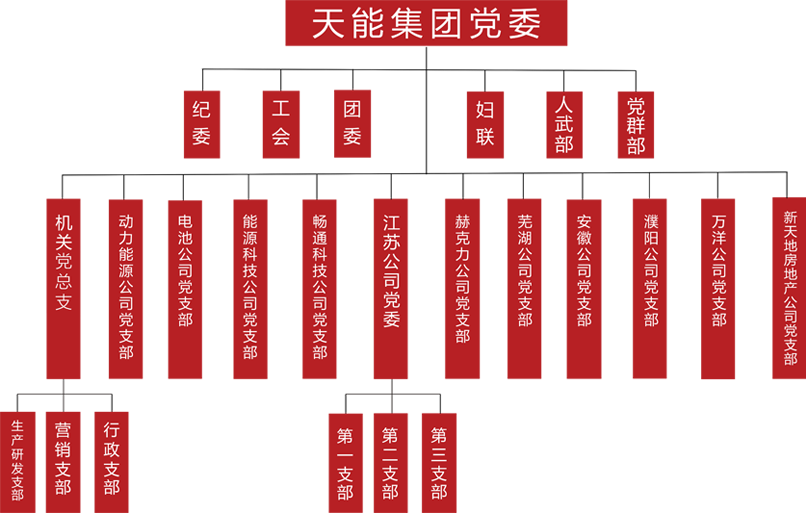 AG贵宾厅建团党委组织架构